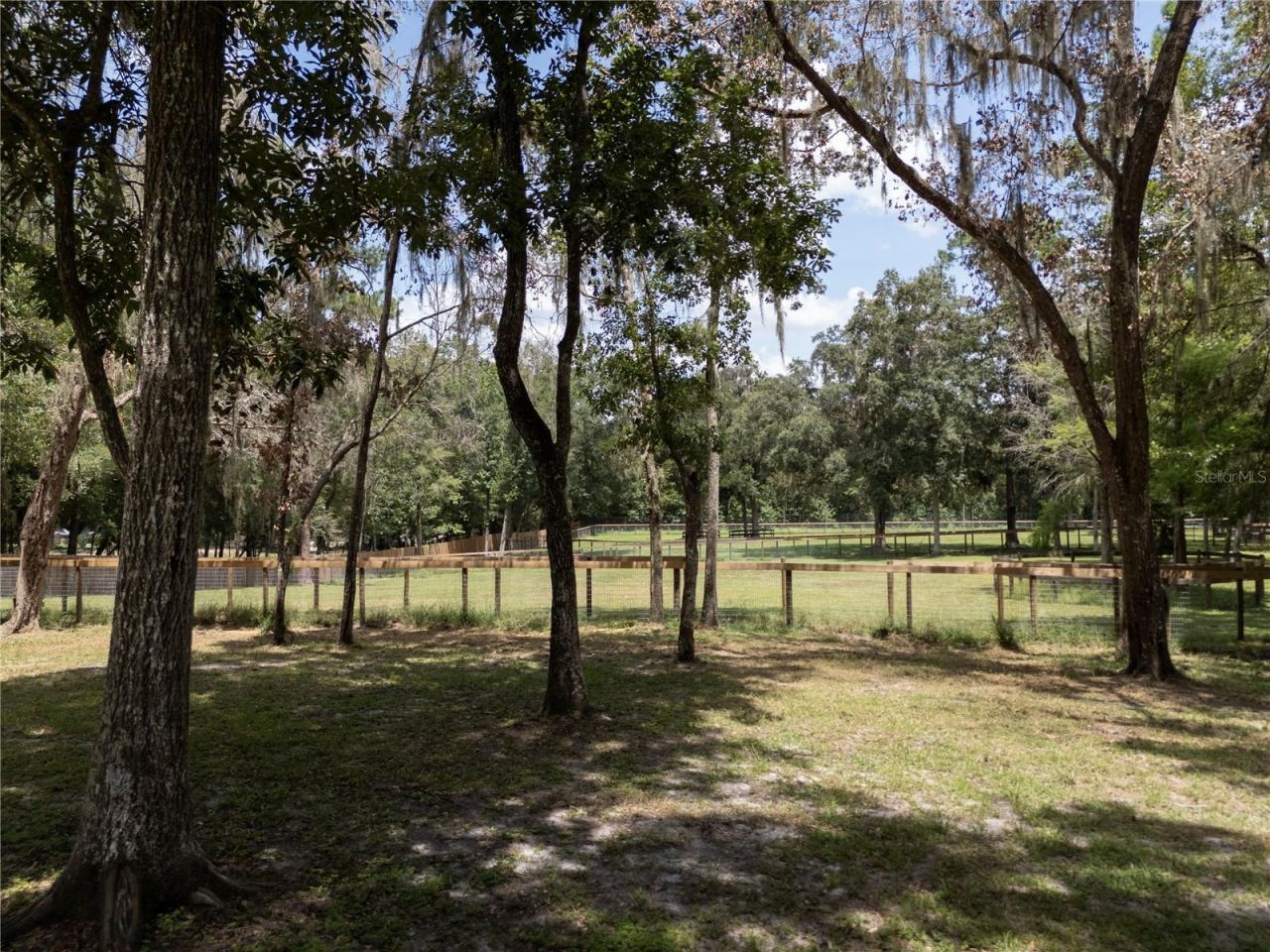 18251 NW 141st Avenue, Williston, FL 32696 Photo