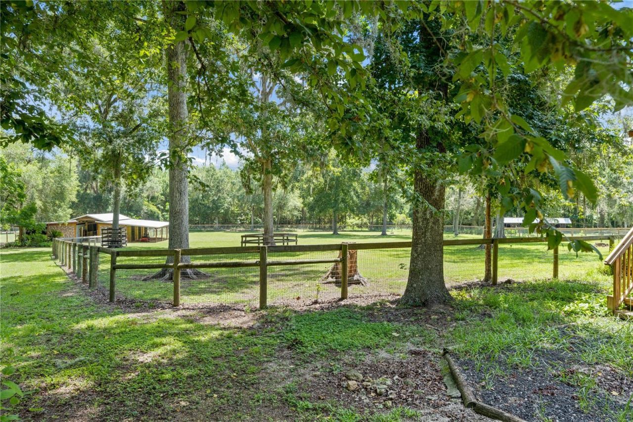 18251 NW 141st Avenue, Williston, FL 32696 Photo