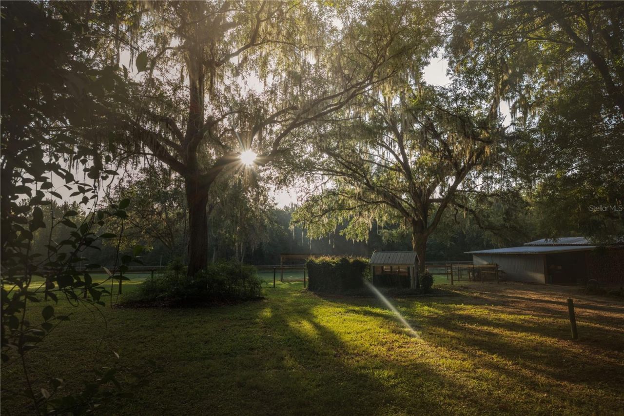 18251 NW 141st Avenue, Williston, FL 32696 Photo