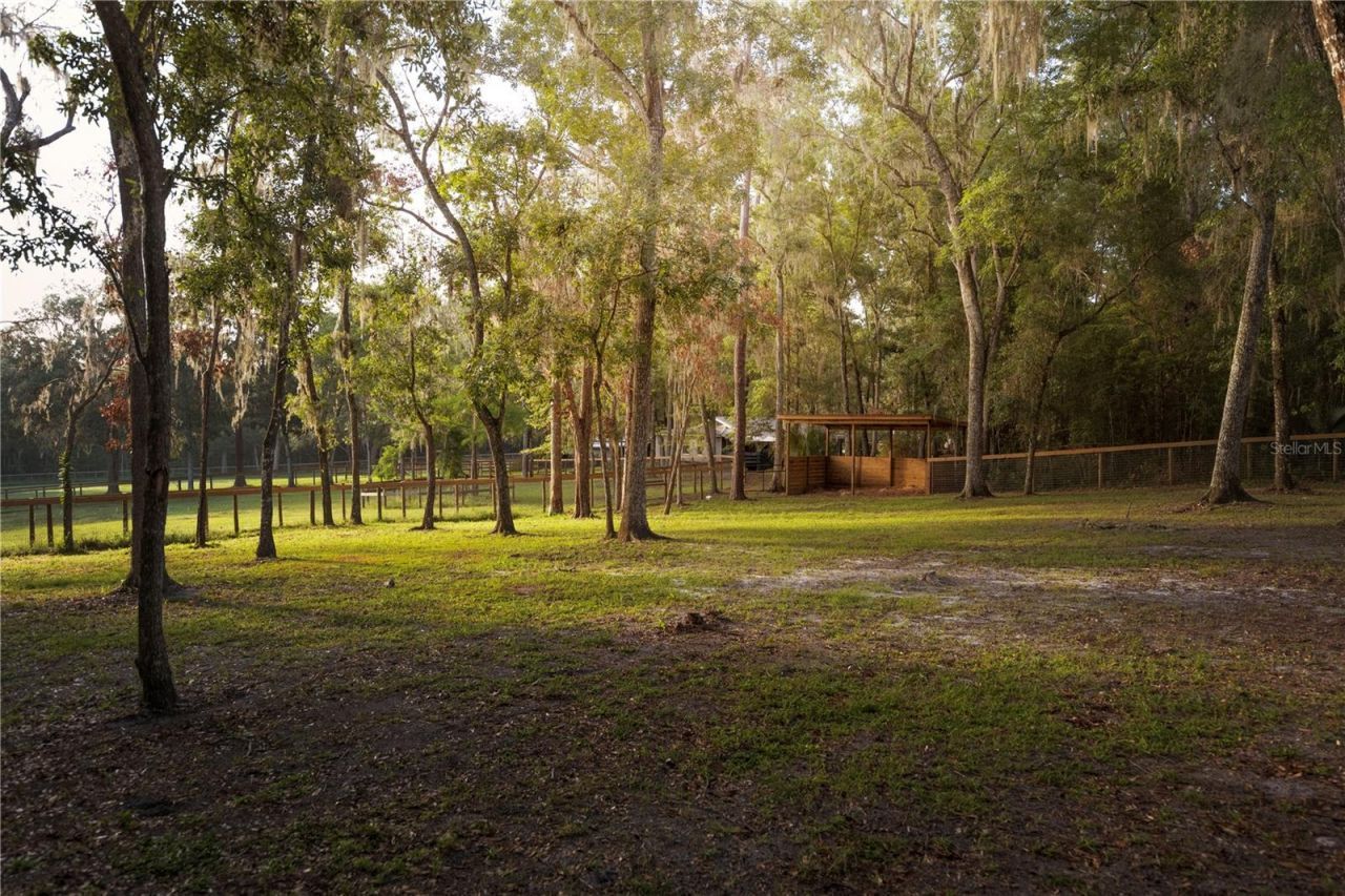 18251 NW 141st Avenue, Williston, FL 32696 Photo