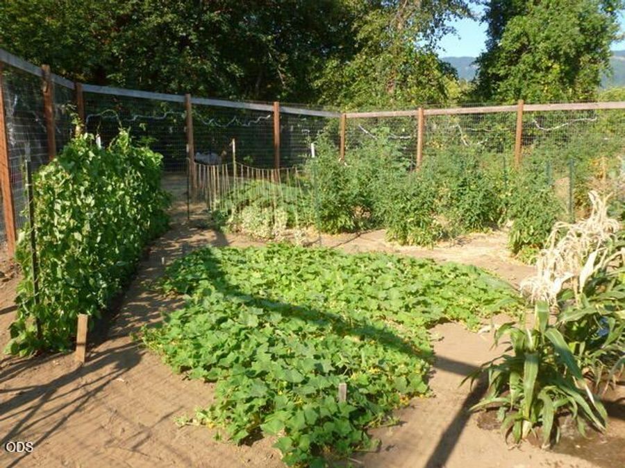 Property Image 57