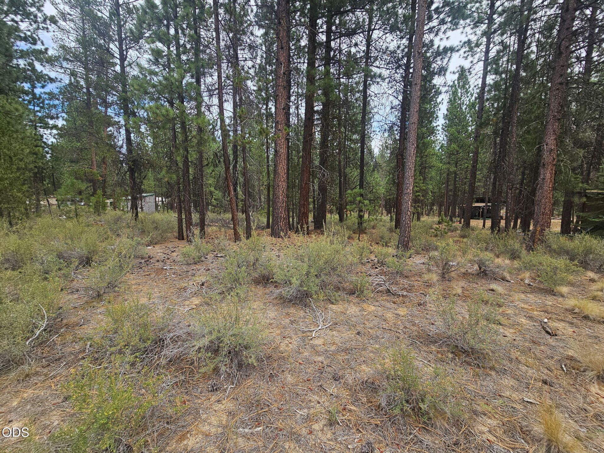 50428 Deer Street, La Pine, OR 97739 Main Photo
