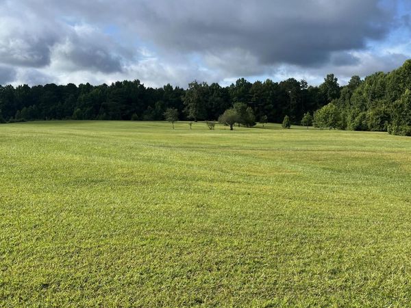 9624 Rocky Mount Road, Luthersville, GA 30251