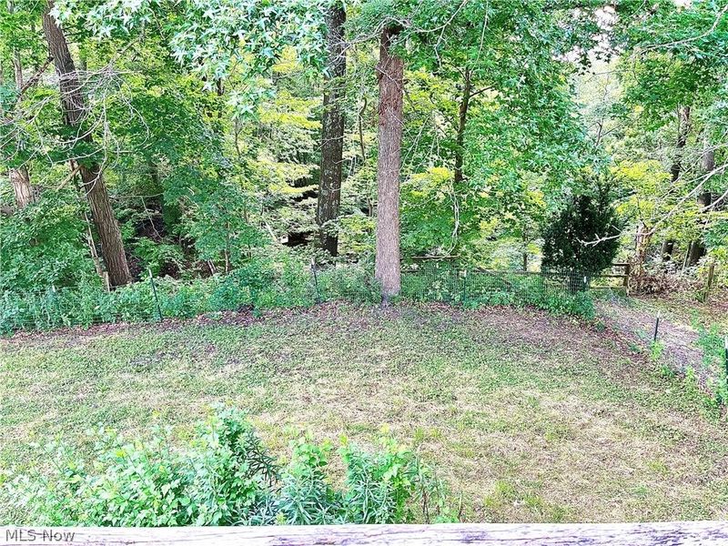 228 E Main Street, Freeport, OH 43973 Photo 48