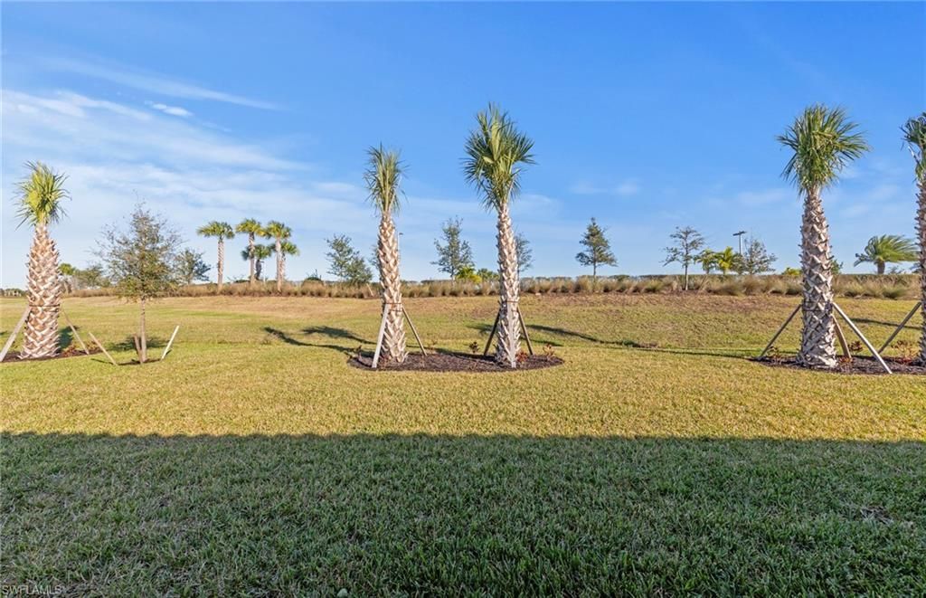6419 Memorial Ln , Ave Maria, FL 34142 Photo