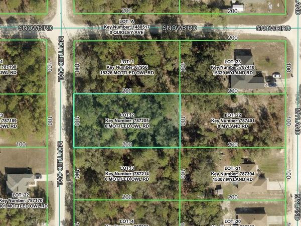 15316 MOTTLED OWL ROAD , BROOKSVILLE, FL 34614