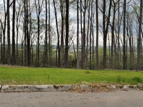 0 Lot 10 Poplar Drive , Sweetwater, TN 37874