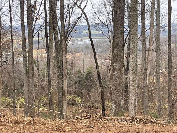 00 Lot 10 Poplar Drive , Sweetwater, TN 37874