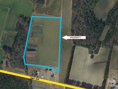 TBD Highway 308 , Galivants Ferry, SC 29544