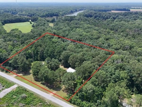 12990 County Road 16 , Greensboro, AL 36744