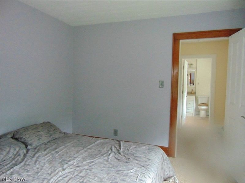 12436 Painesville Warren Road, Concord Township, OH 44077 Photo 21