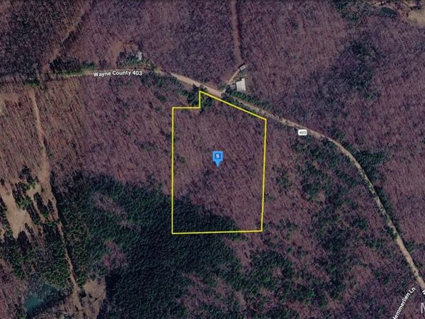 4900 Wayne County 403 , Greenville, MO 63944