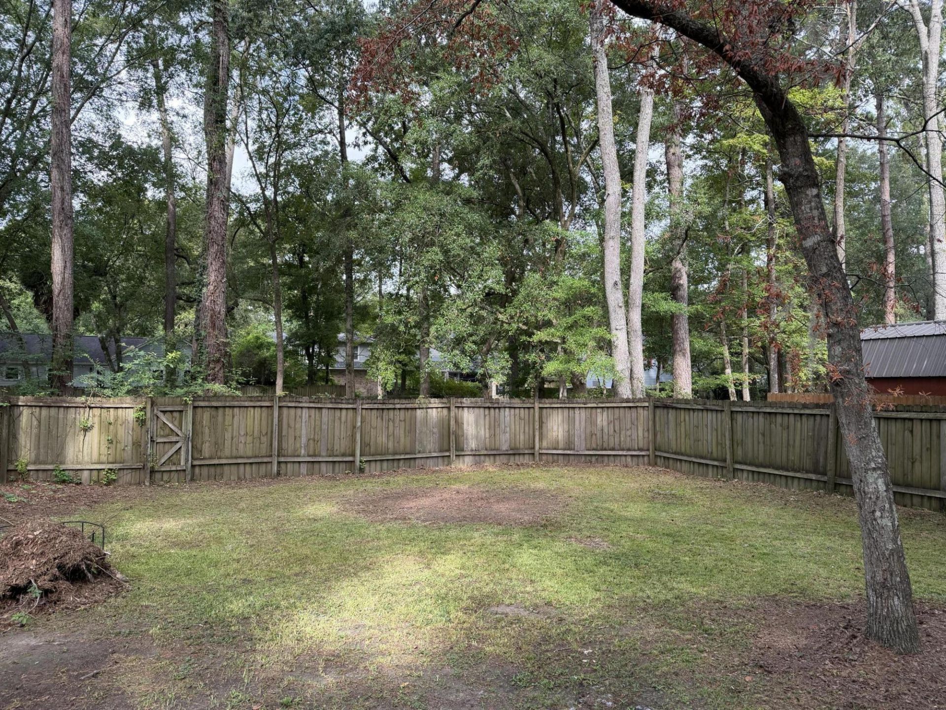 216 Runnymede Lane Photo 26