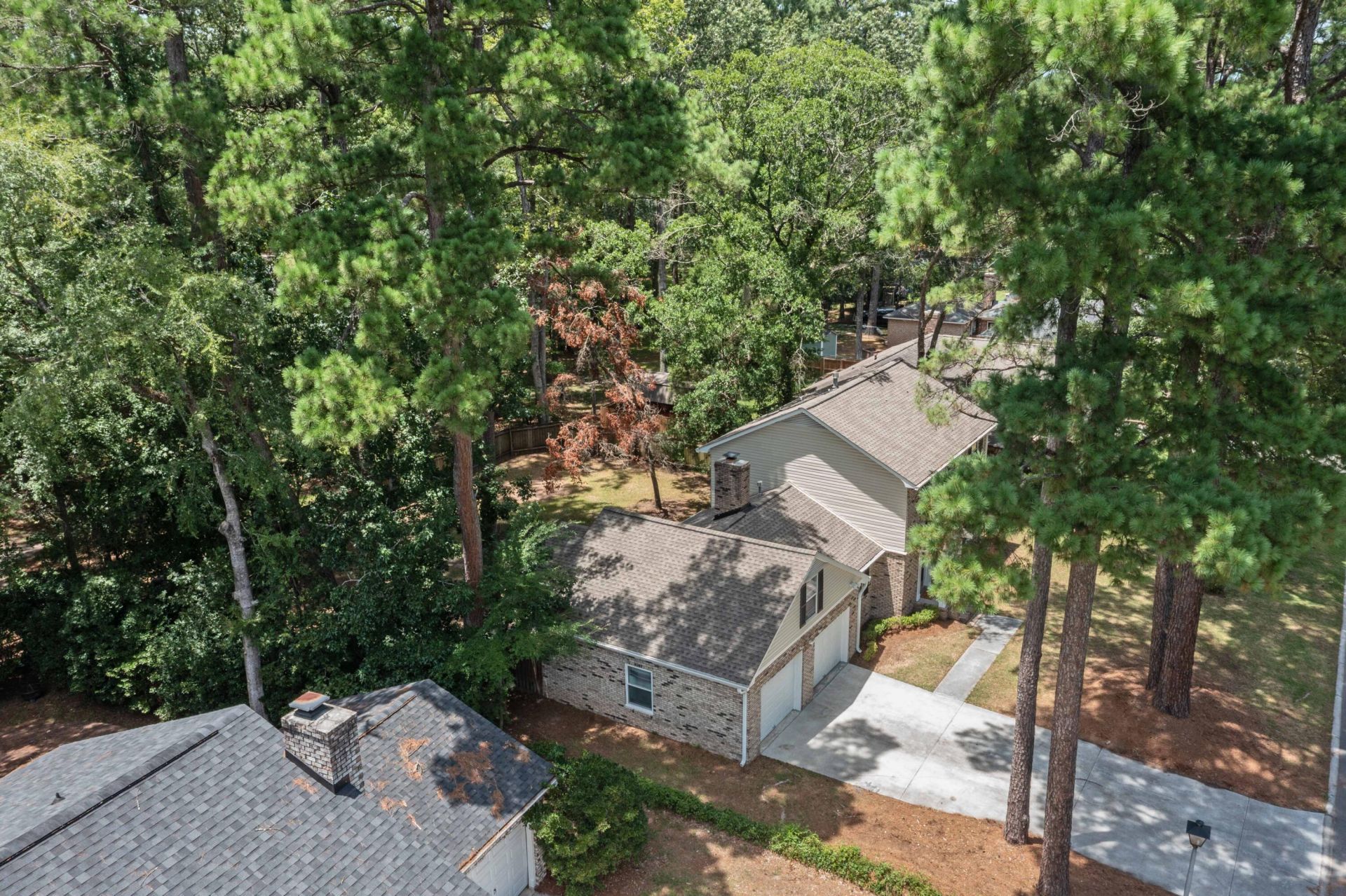 216 Runnymede Lane Photo 28
