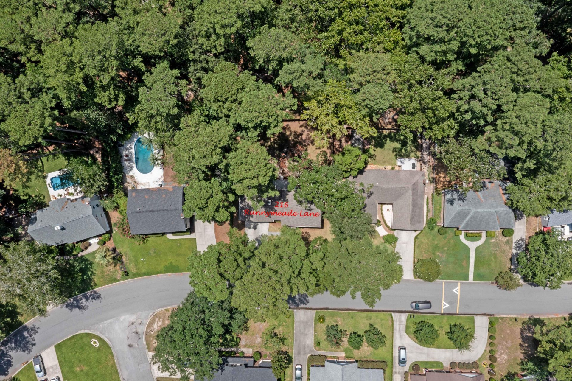216 Runnymede Lane Photo 37
