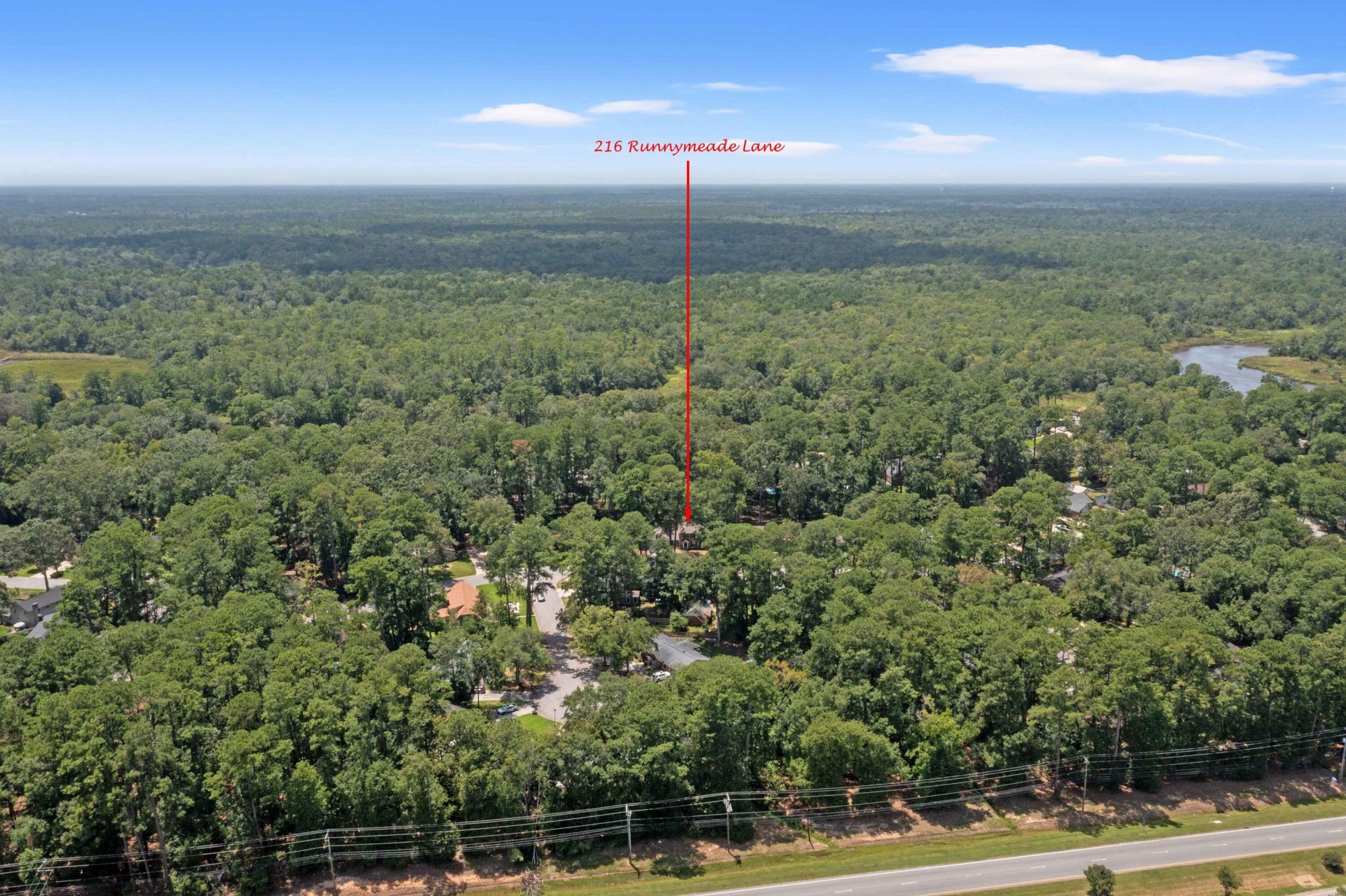 216 Runnymede Lane Photo 41