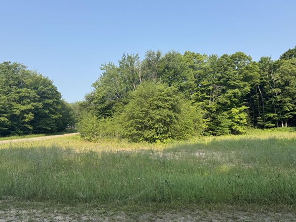 TBD Hollow DR, McMillan, MI 49853