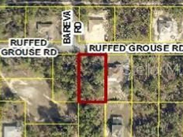 13364 RUFFED GROUSE ROAD , WEEKI WACHEE, FL 34614