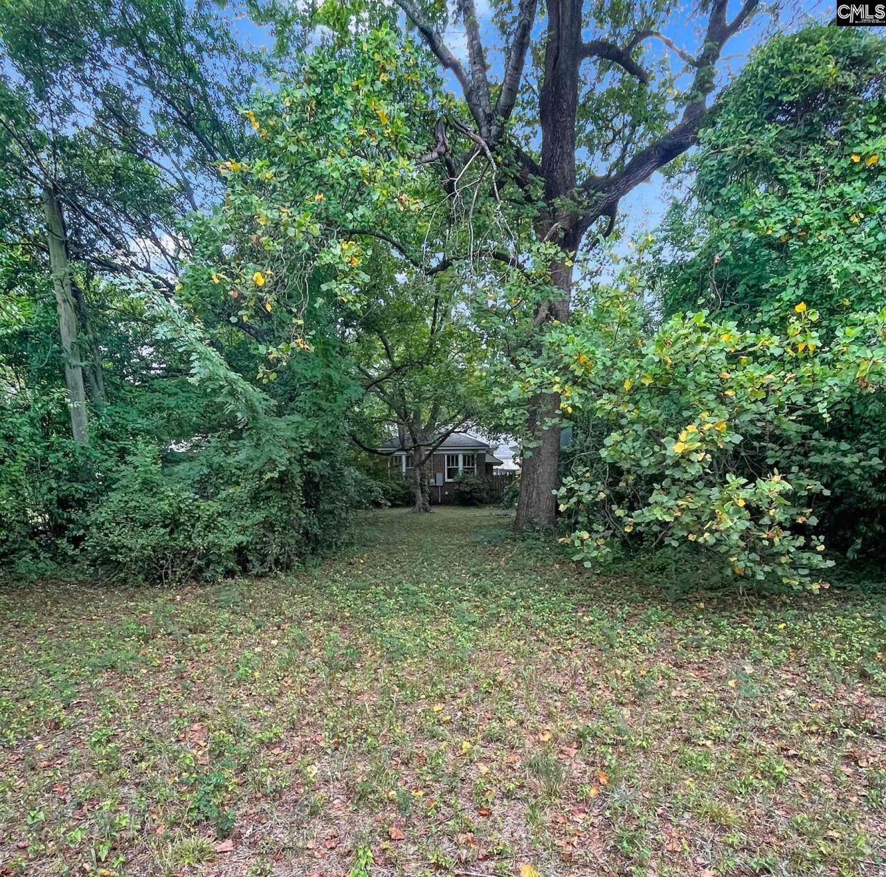 621 Poplar Street  Photo 13