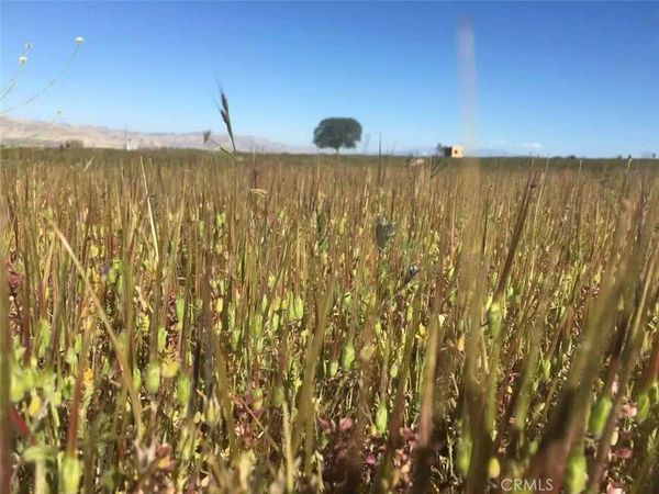 1900 Wasioja Road , New Cuyama, CA 93254