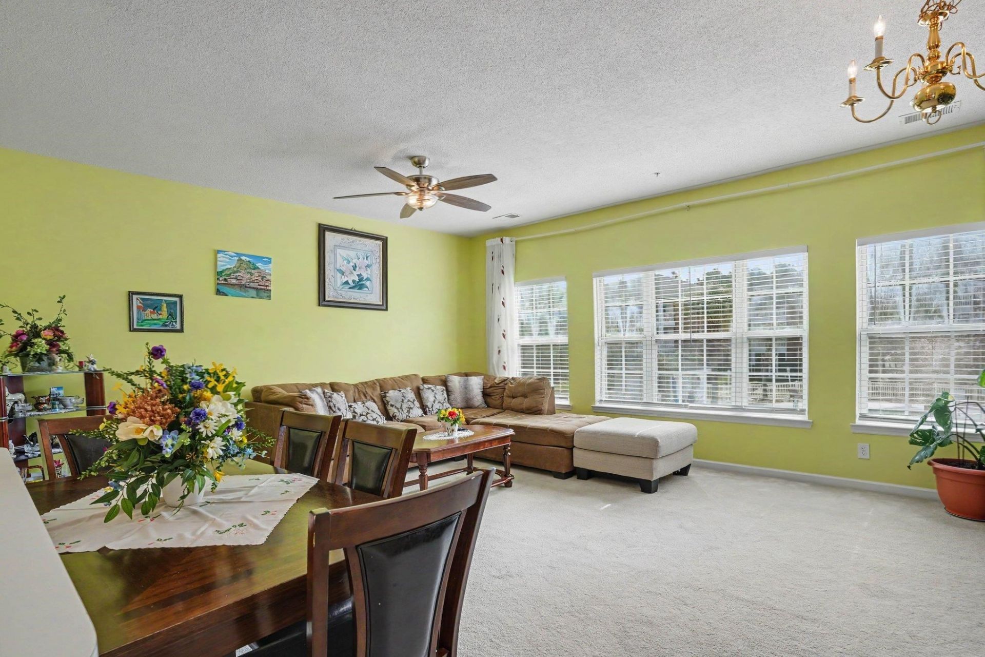3955 Gladiola Ct.  Photo 7