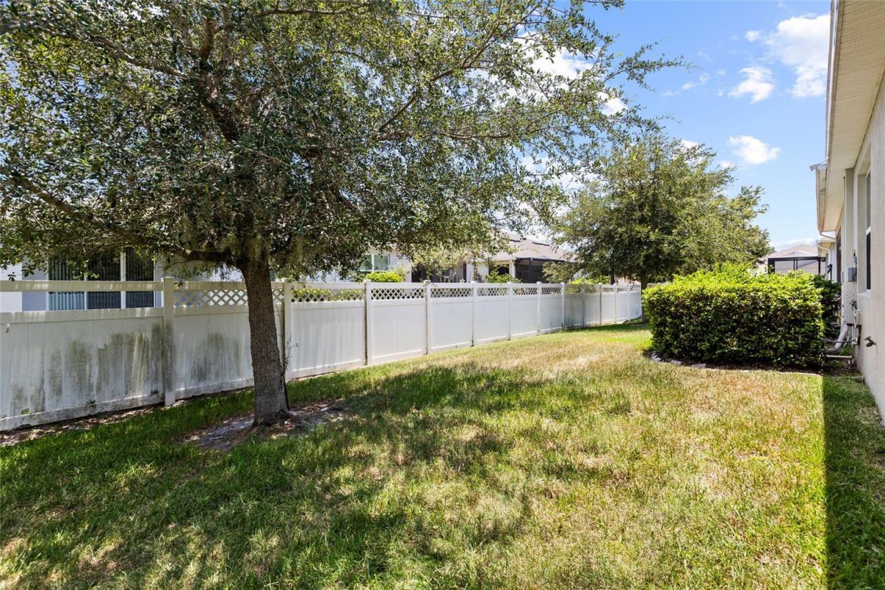 7727 Timberview Loop , Wesley Chapel, FL 33545 Photo