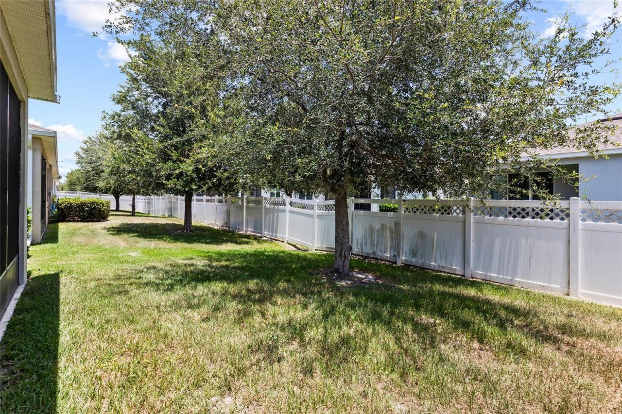 7727 Timberview Loop , Wesley Chapel, FL 33545 Photo