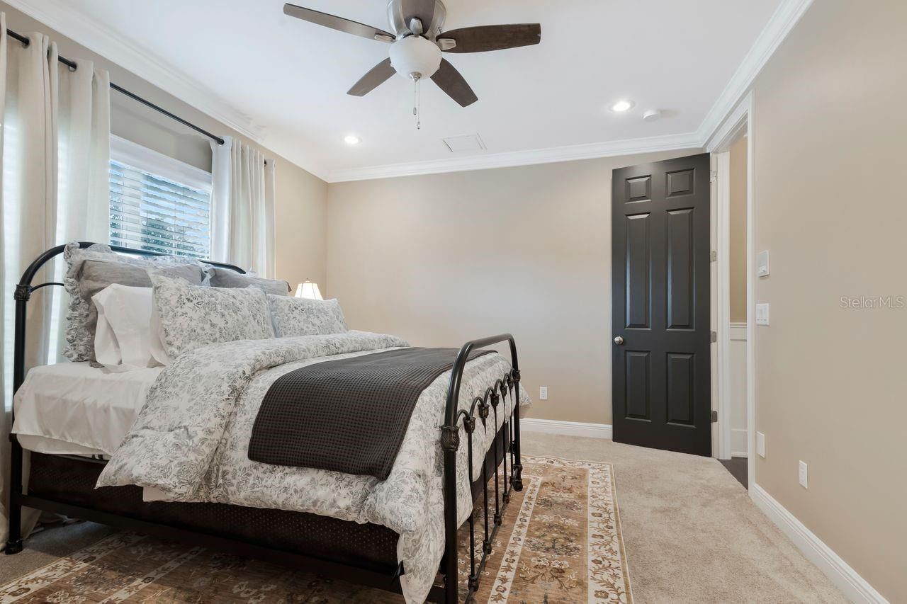 29737 Chapel Park Drive, Wesley Chapel, FL 33543 Photo