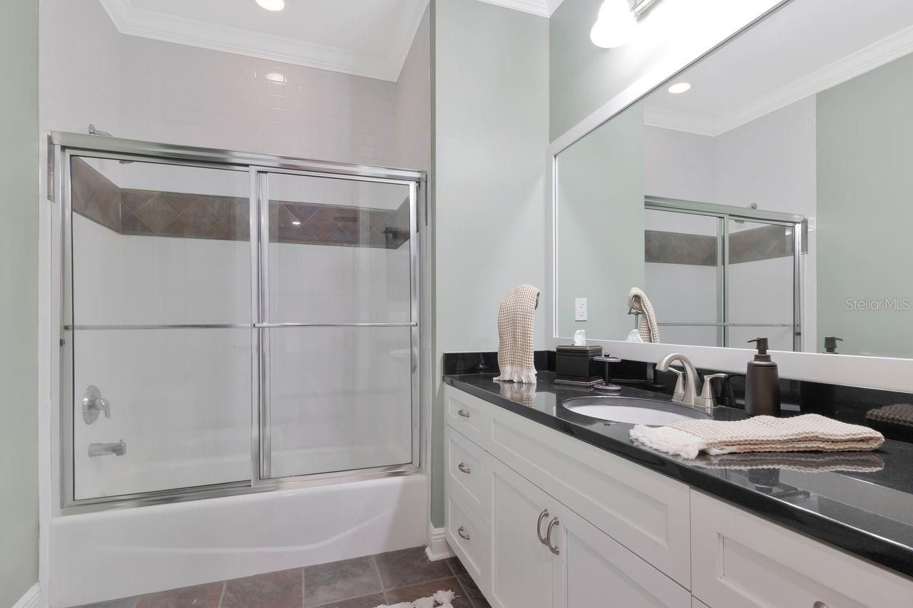 29737 Chapel Park Drive, Wesley Chapel, FL 33543 Photo