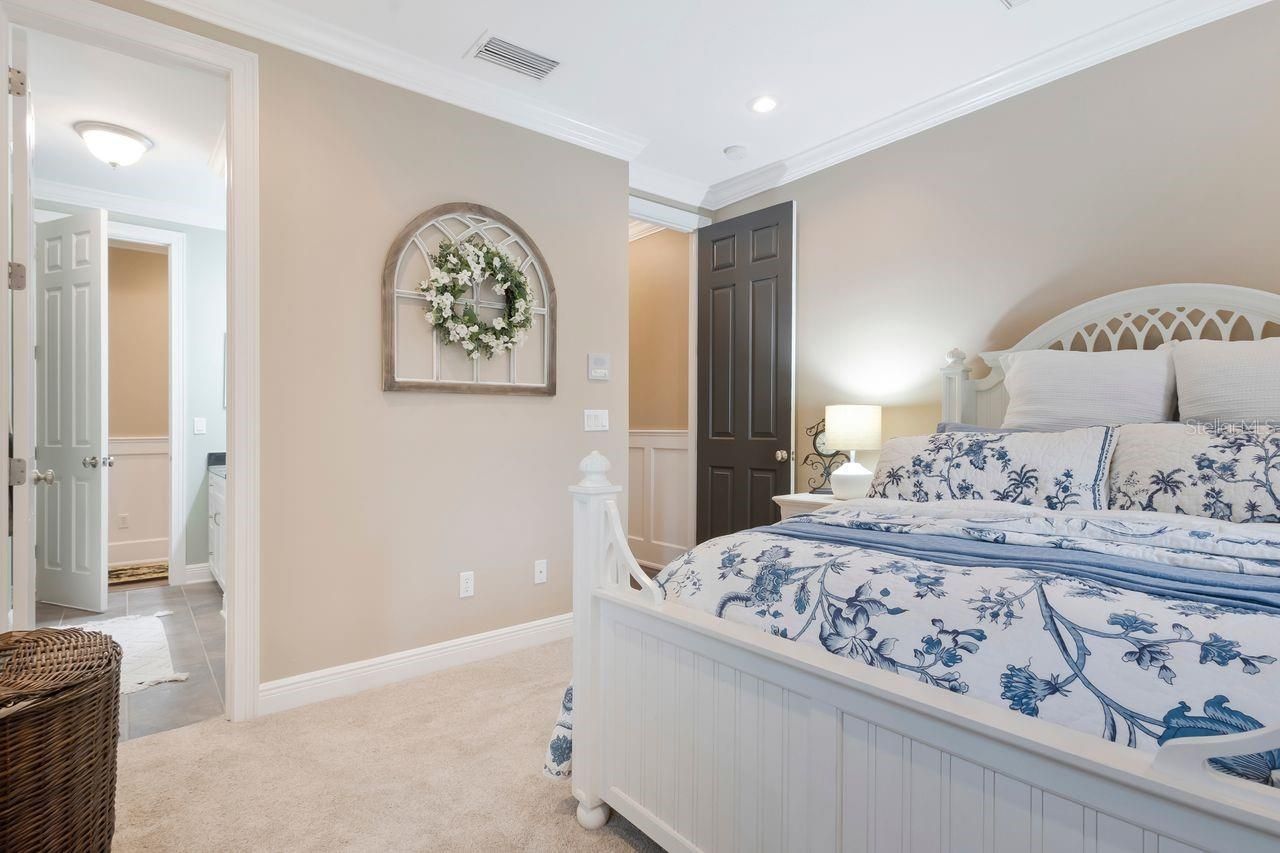 29737 Chapel Park Drive, Wesley Chapel, FL 33543 Photo