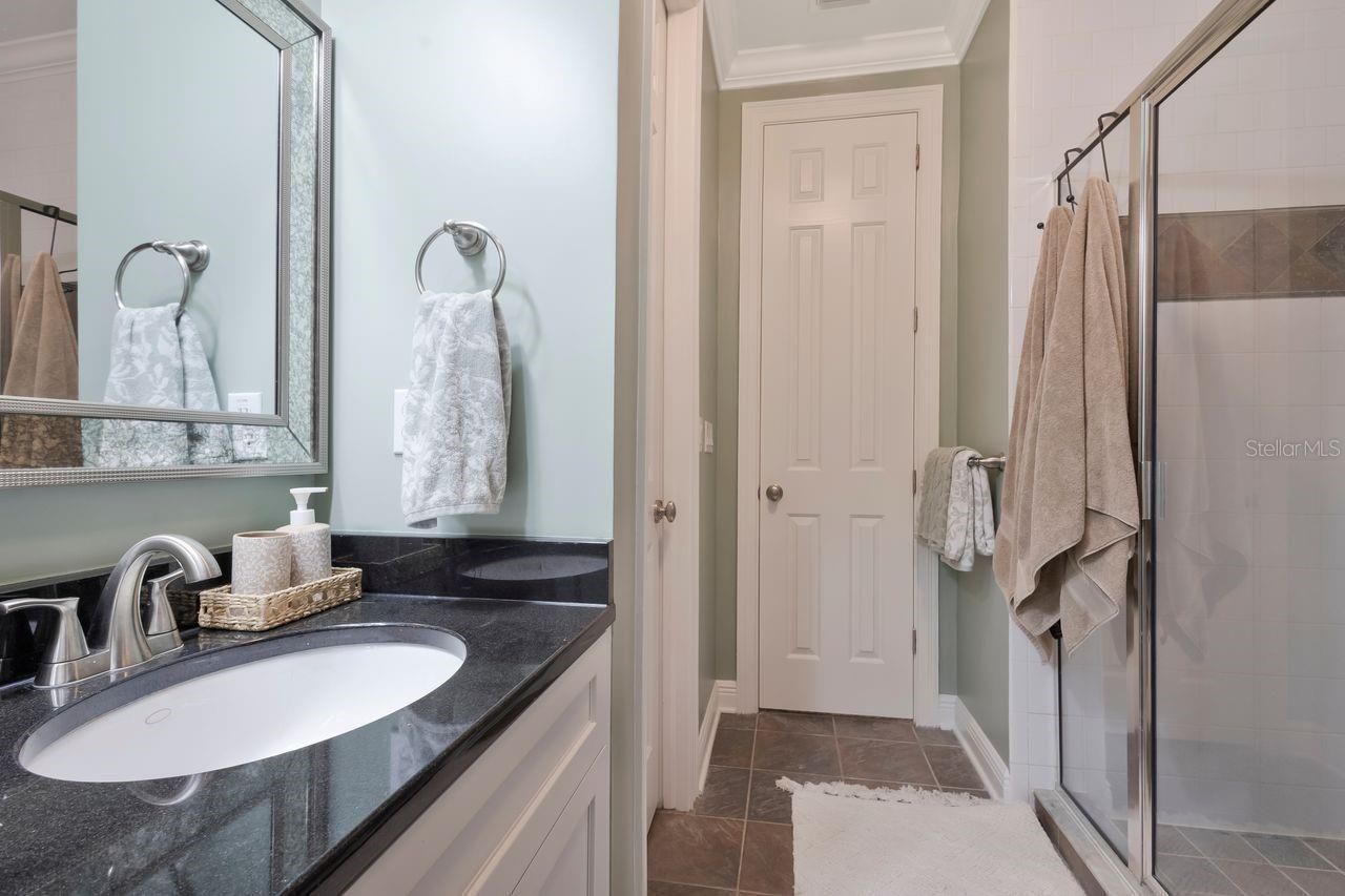 29737 Chapel Park Drive, Wesley Chapel, FL 33543 Photo
