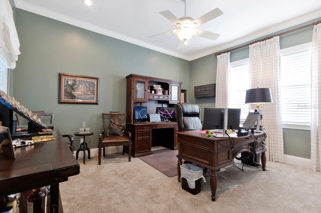 29737 Chapel Park Drive, Wesley Chapel, FL 33543 Photo