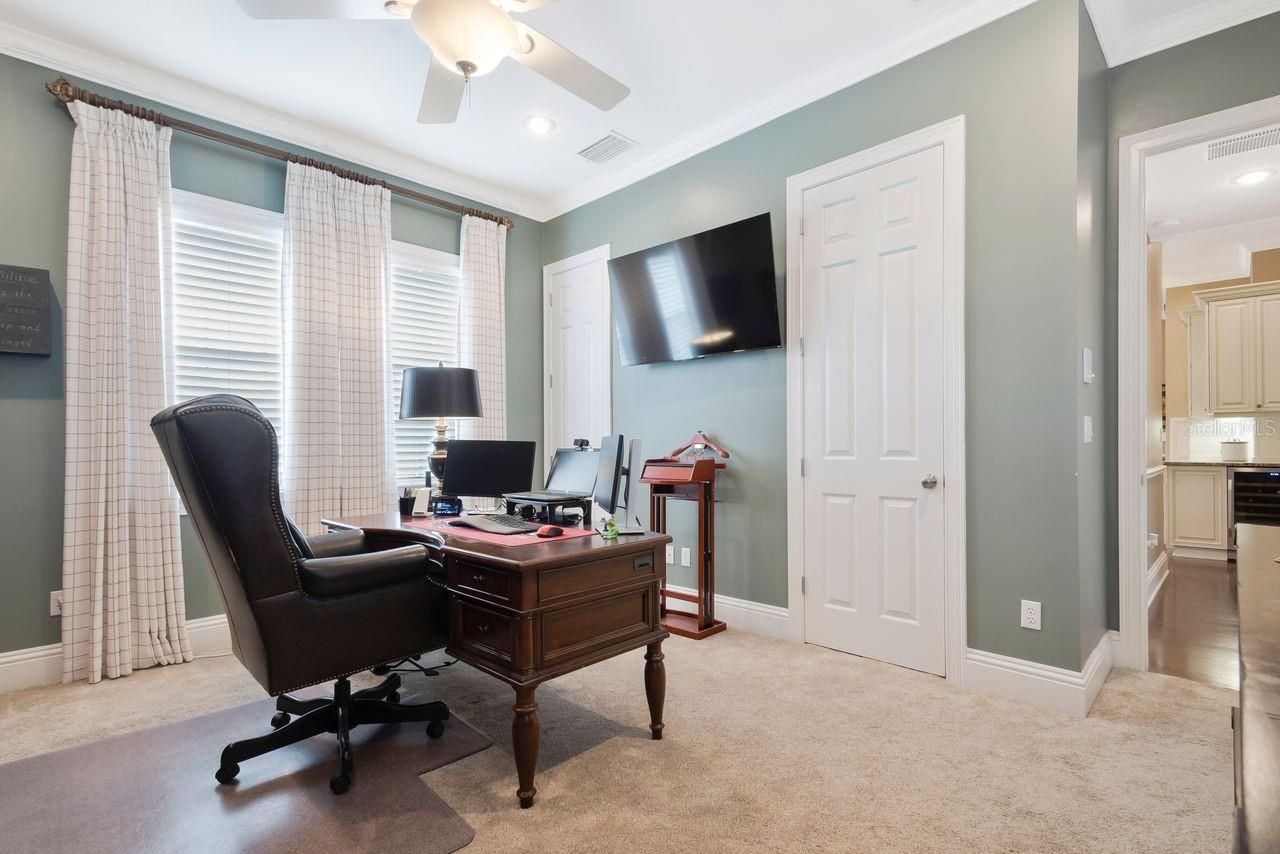 29737 Chapel Park Drive, Wesley Chapel, FL 33543 Photo