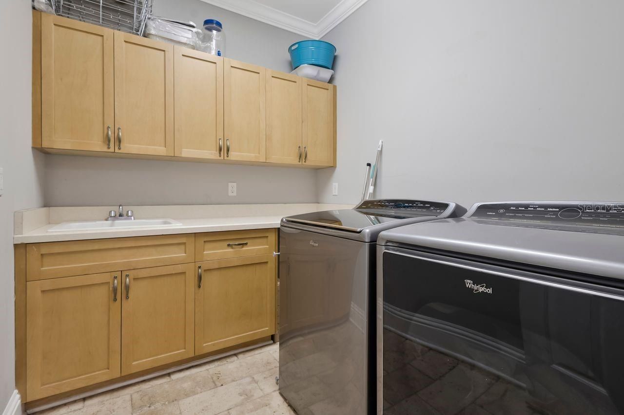 29737 Chapel Park Drive, Wesley Chapel, FL 33543 Photo