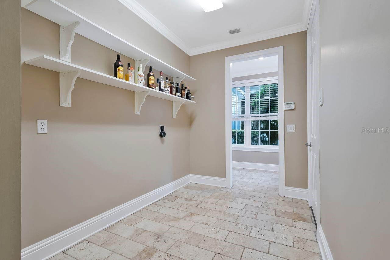 29737 Chapel Park Drive, Wesley Chapel, FL 33543 Photo