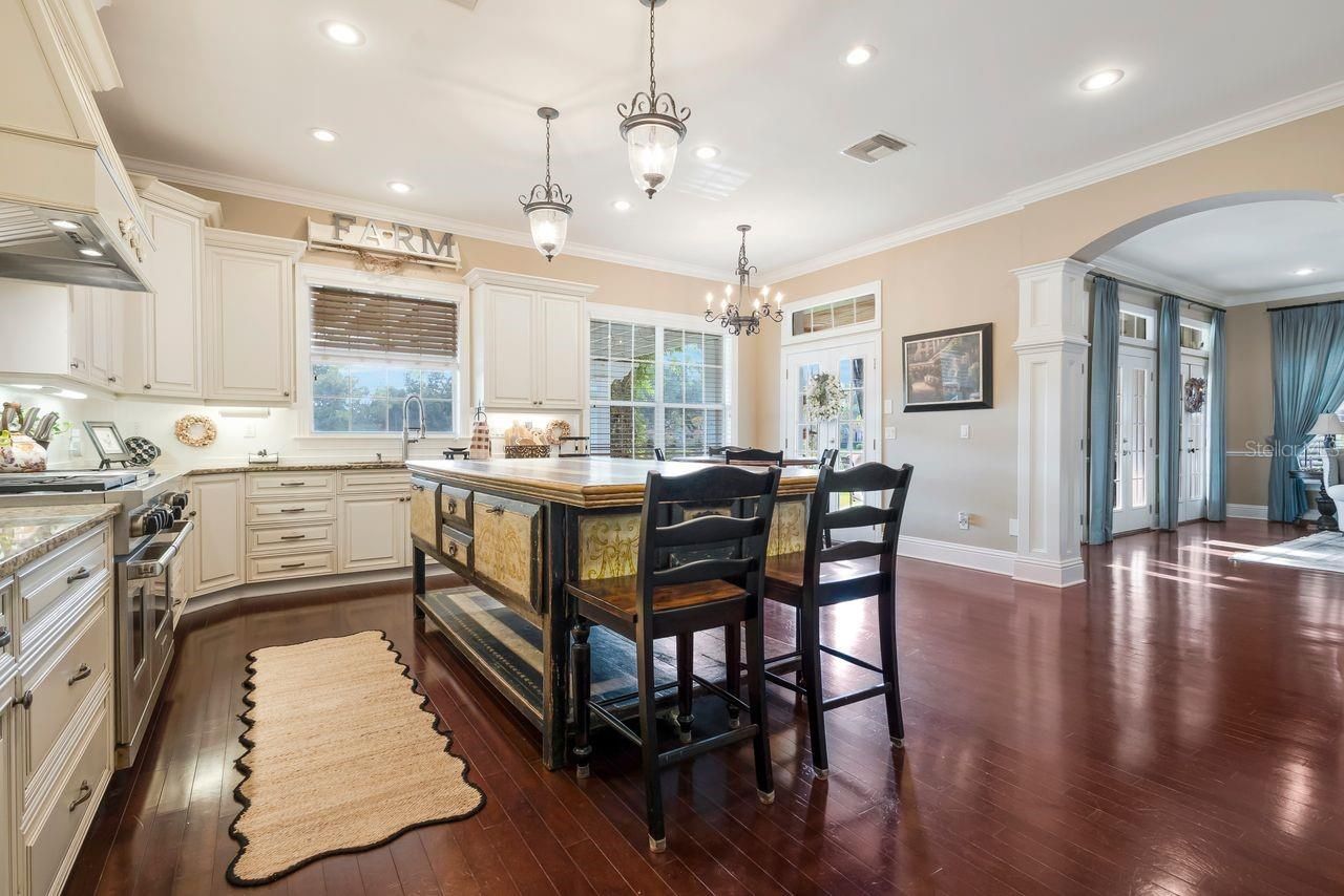 29737 Chapel Park Drive, Wesley Chapel, FL 33543 Photo