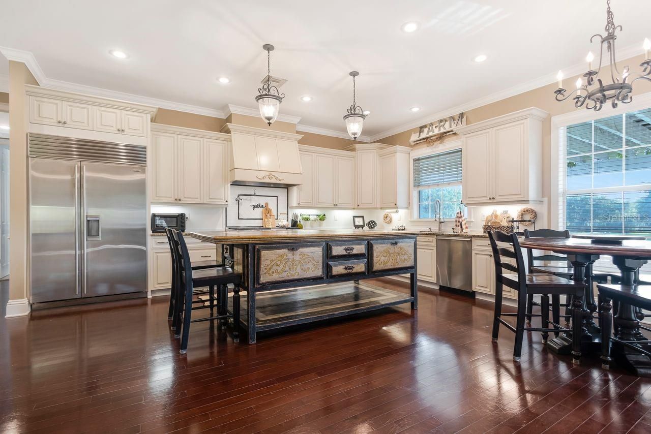 29737 Chapel Park Drive, Wesley Chapel, FL 33543 Photo