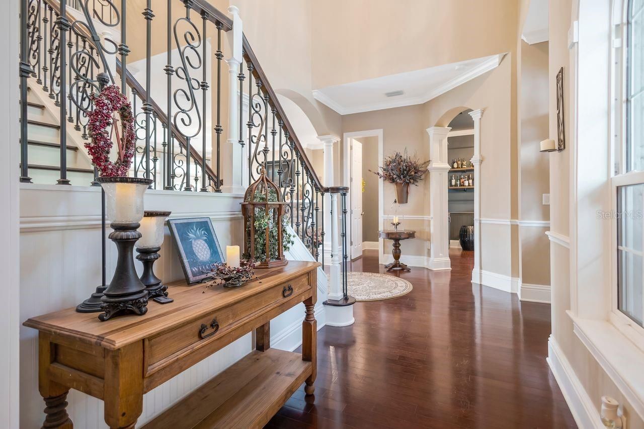 29737 Chapel Park Drive, Wesley Chapel, FL 33543 Photo