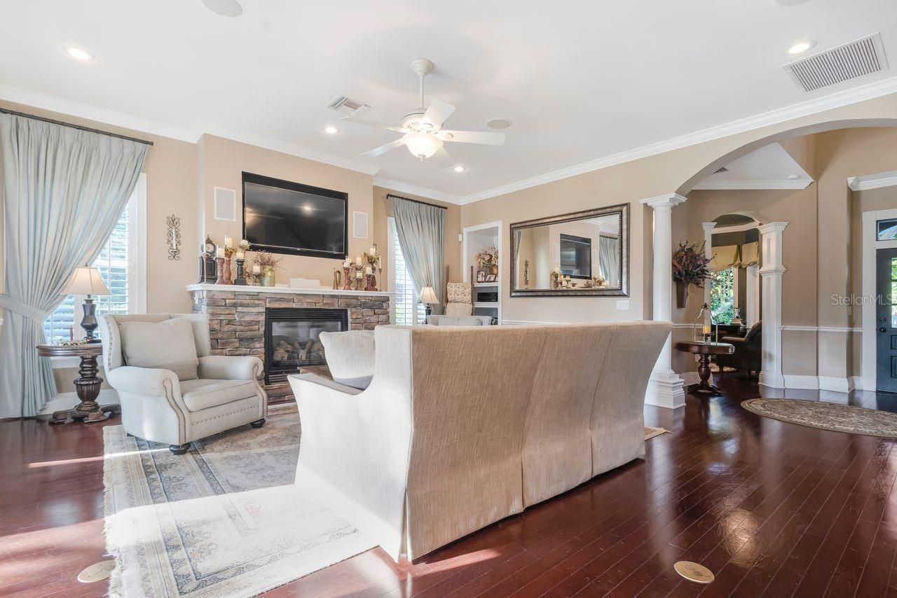 29737 Chapel Park Drive, Wesley Chapel, FL 33543 Photo