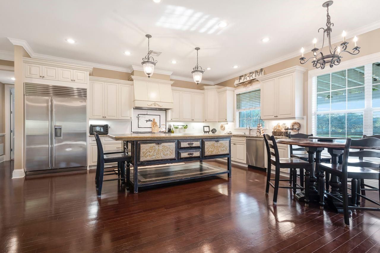 29737 Chapel Park Drive, Wesley Chapel, FL 33543 Photo