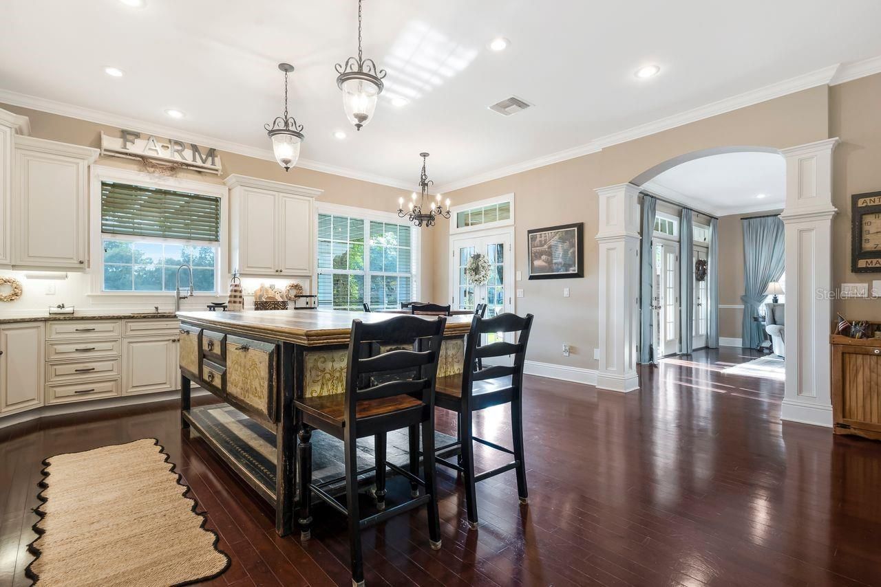29737 Chapel Park Drive, Wesley Chapel, FL 33543 Photo