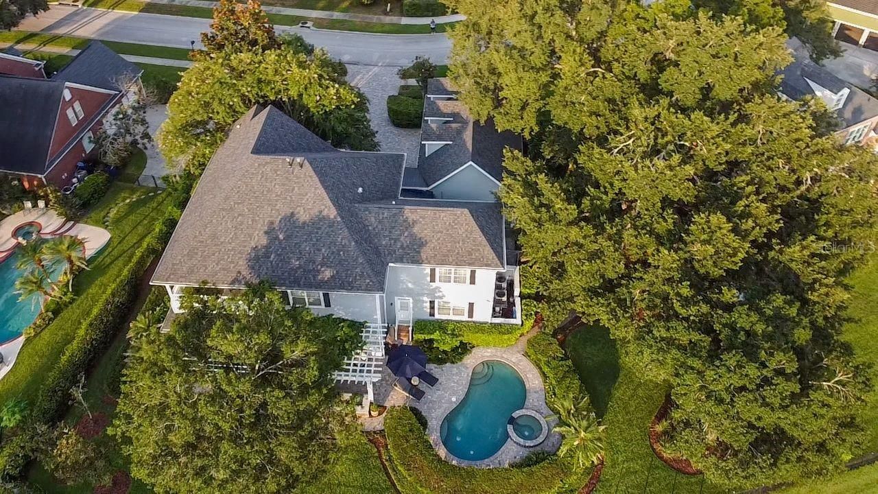 29737 Chapel Park Drive, Wesley Chapel, FL 33543 Photo