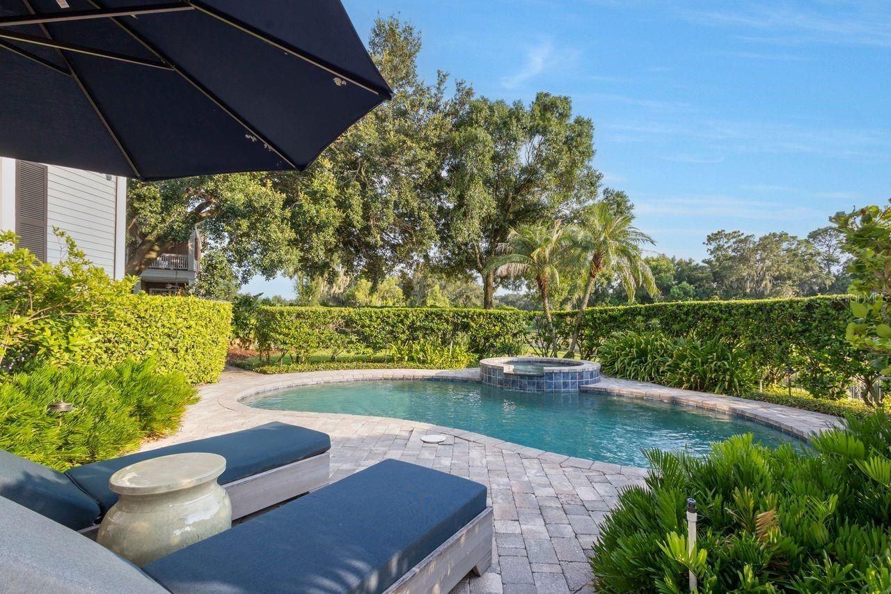 29737 Chapel Park Drive, Wesley Chapel, FL 33543 Photo