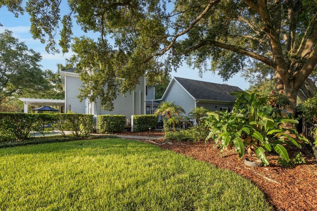 29737 Chapel Park Drive, Wesley Chapel, FL 33543 Photo