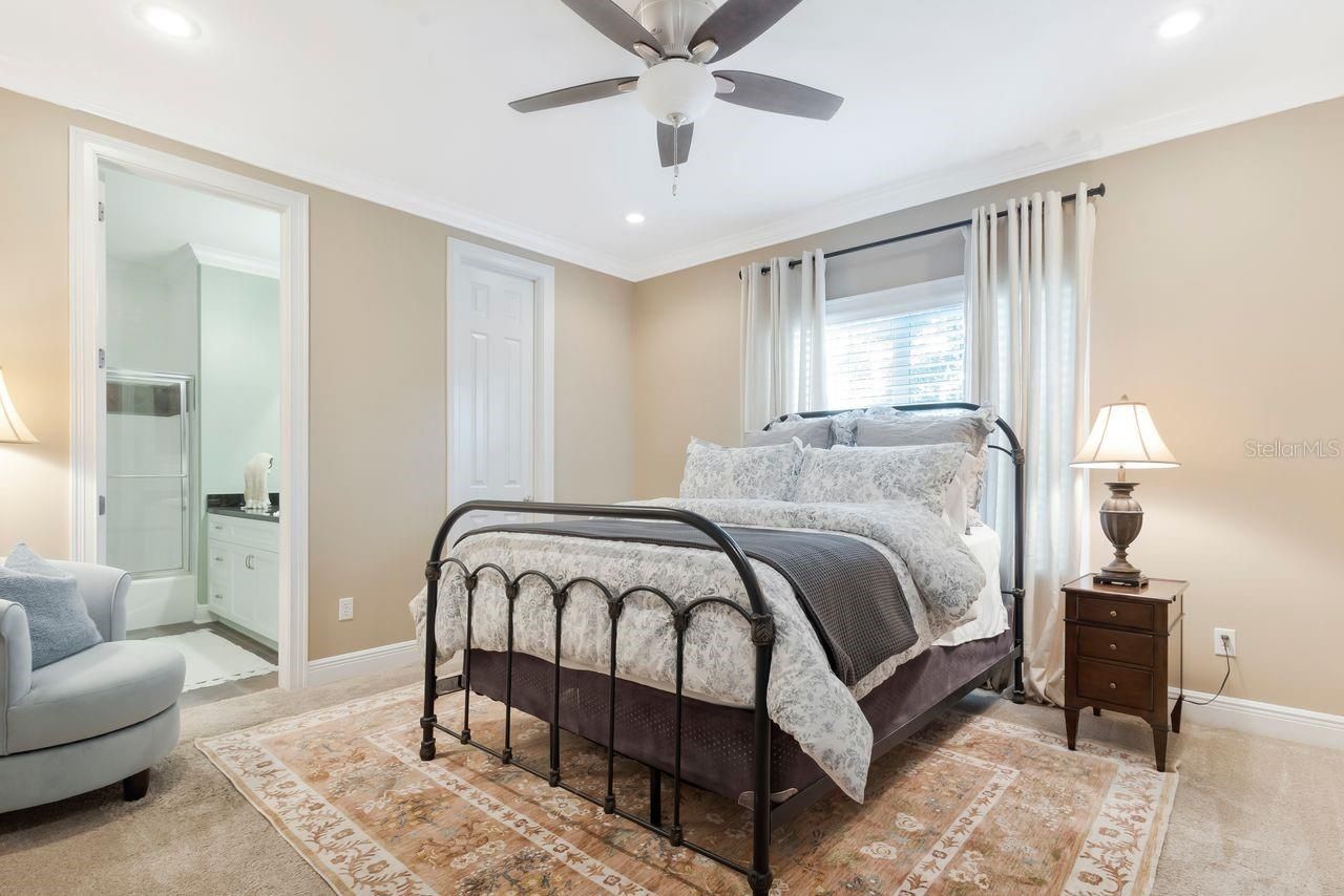 29737 Chapel Park Drive, Wesley Chapel, FL 33543 Photo