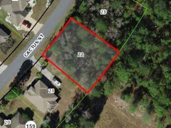 50 CACTUS STREET , HOMOSASSA, FL 34446