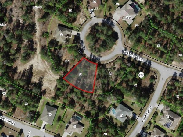 6 GERANIUM COURT W, HOMOSASSA, FL 34446
