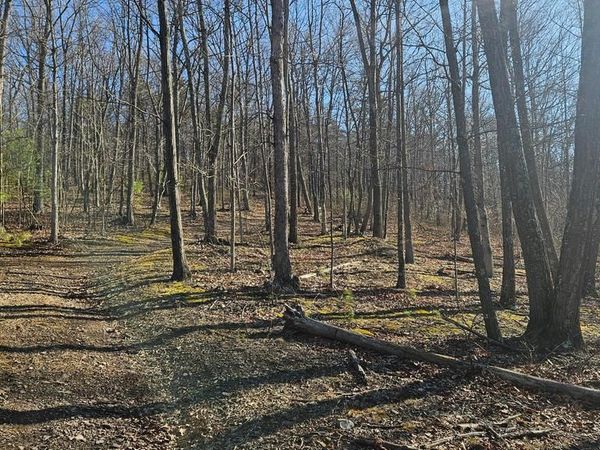 00 PINEY CREEK ROAD , CLEARVILLE, PA 15535