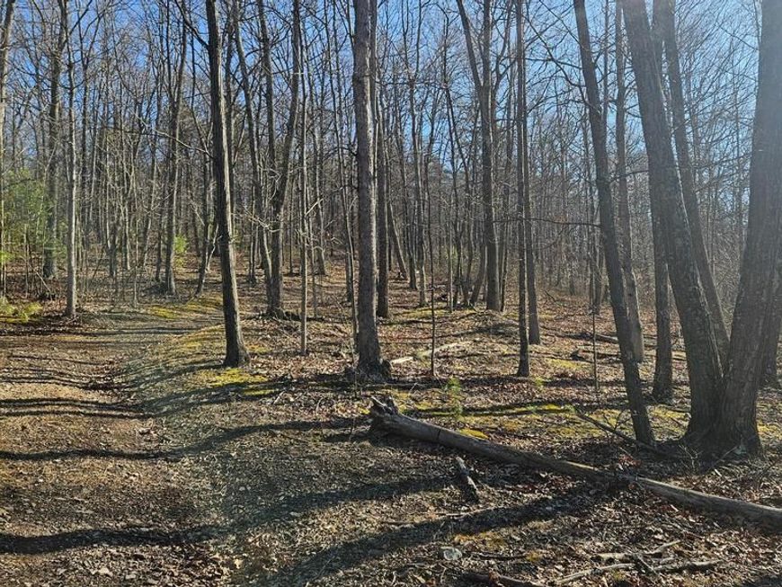 00 Piney Creek Road , Clearville, PA 15535 Main Photo