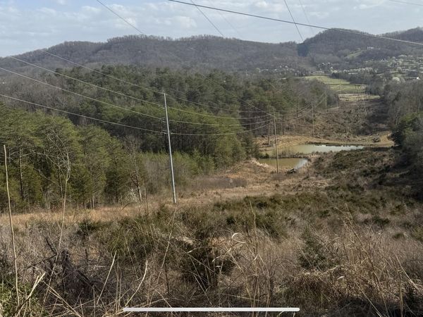 1372 Friends Station Rd, New Market, TN 37820